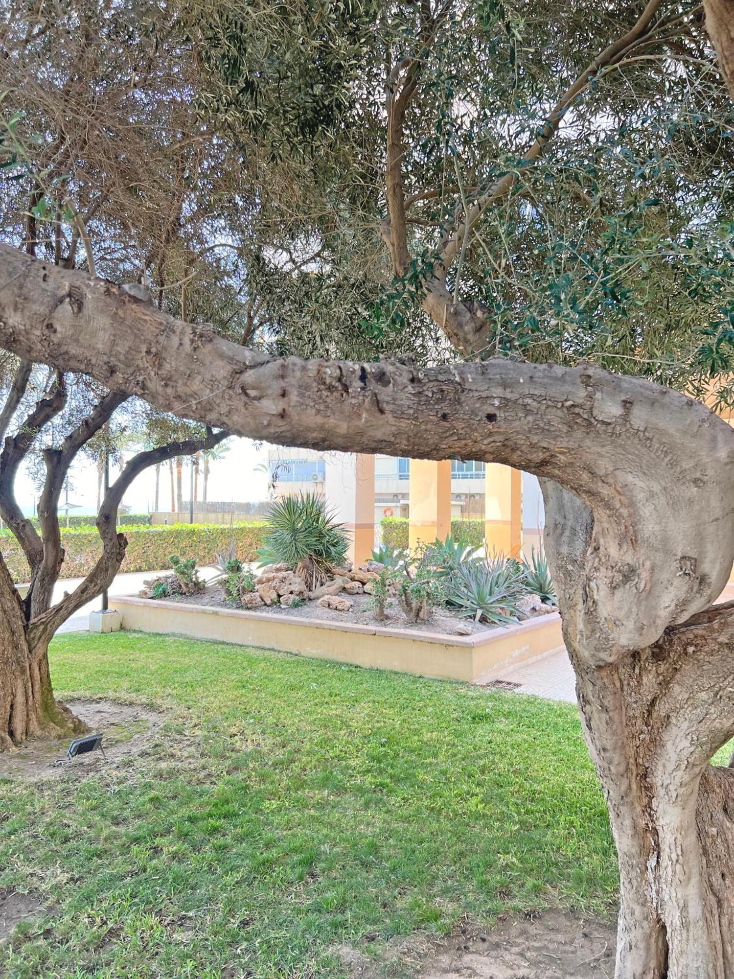 Apartamento Oasis Frente Al Mar. Parking Gratis El Campello Exterior foto