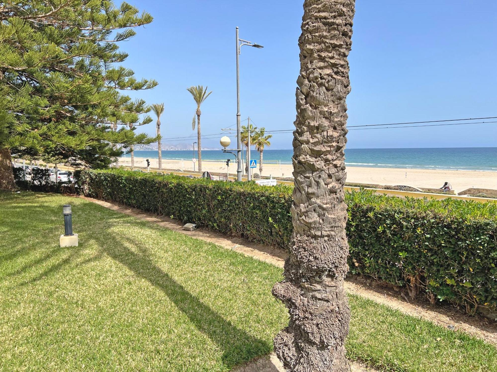 Apartamento Oasis Frente Al Mar. Parking Gratis El Campello Exterior foto